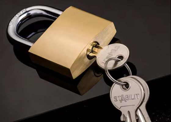 Safety Copper Padlock 20mm Heavy Duty Brass In Bulk ODM