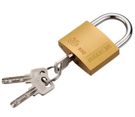 ISO9001 Indoor 40mm Brass Padlock Keyed Alike ODM