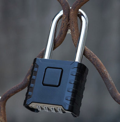Custom Steel Keyed Industrial Padlock 50mm 40mm