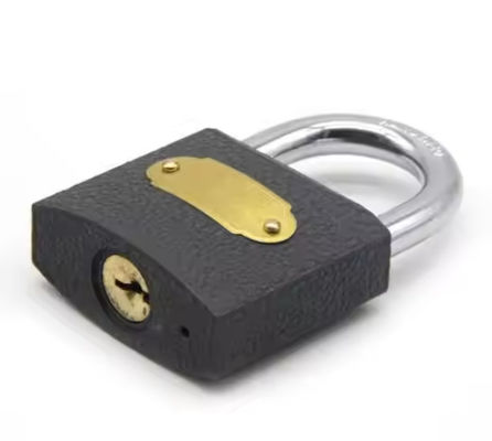 Weather Proof Cast Iron Padlock Heavy Duty Customizable