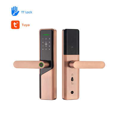 Electric Digital Smart Volibel Aluminum Alloy Rfid Card Password Code Door Lock Without Fingerprint Tuya Ttlock App